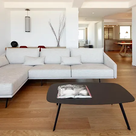 Zurriola Loft By Feelfree 公寓